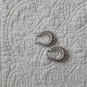 Ladies Silver Earrings